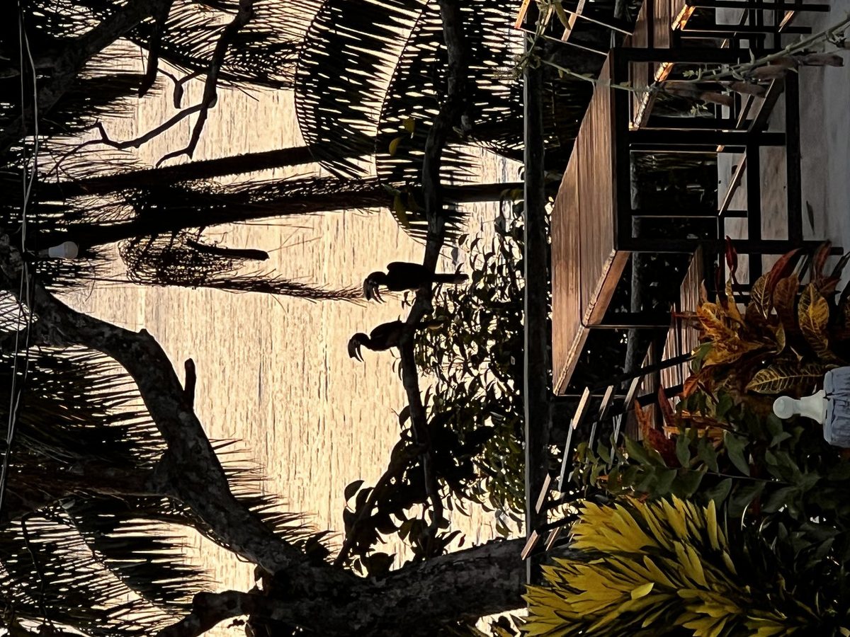 Spiral Resort — Koh Phayam, Thailand